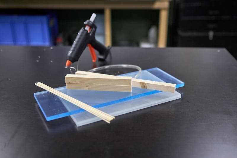 Conditions-requises-pour-votre-fourmilière