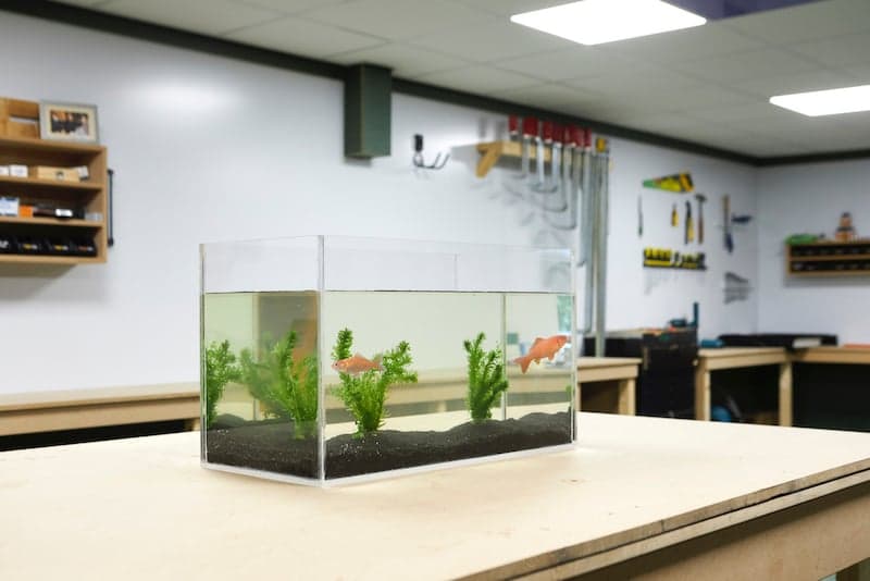 Décoration de votre aquarium