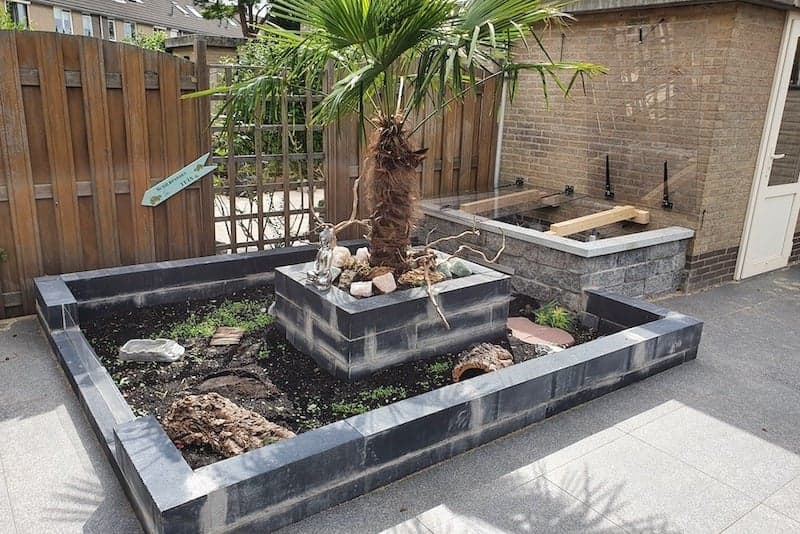 Enclos pour tortues hermann à l'extérieur