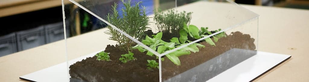 Mini-serre de jardin DIY en 5 étapes