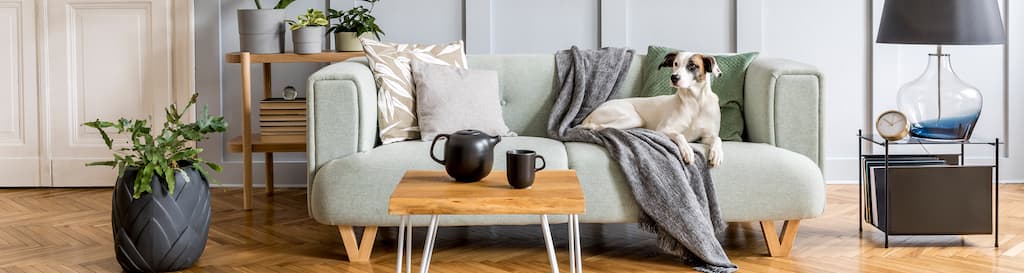 Idee deco maison attrayant salon