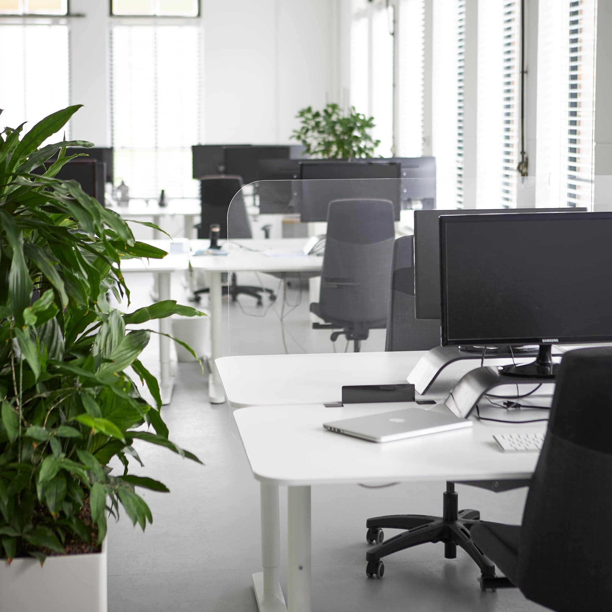 Cloison de bureau en plexiglas grande