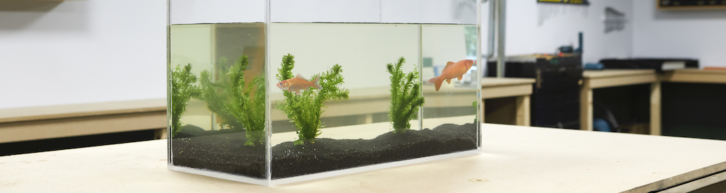 Fabriquer un aquarium sur mesure en plexiglass