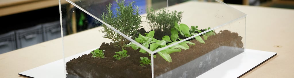 Mini-serre de jardin DIY en 5 étapes